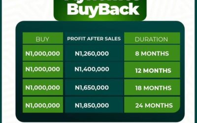 Kambili City 2 – Buy Back